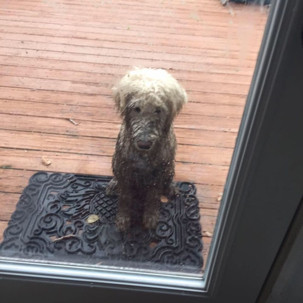 Meet your Posher, Sherrie